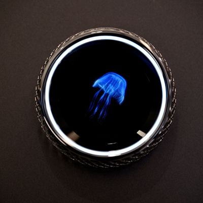 c鿴ԔϢ(bio)}Ħȫϵ xΔ(sh)130